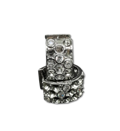 Arete de Fantasía Plateado con Piedras AFAPIEP